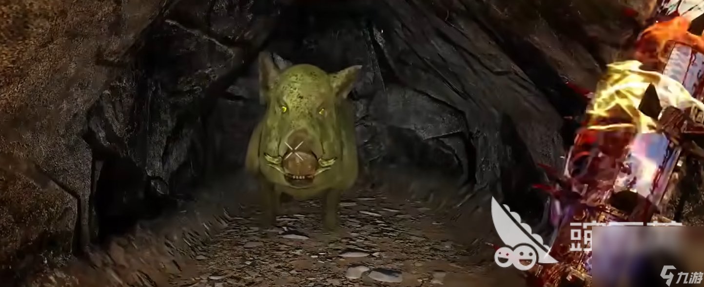 巫师3：狂猎 终极版 截图11